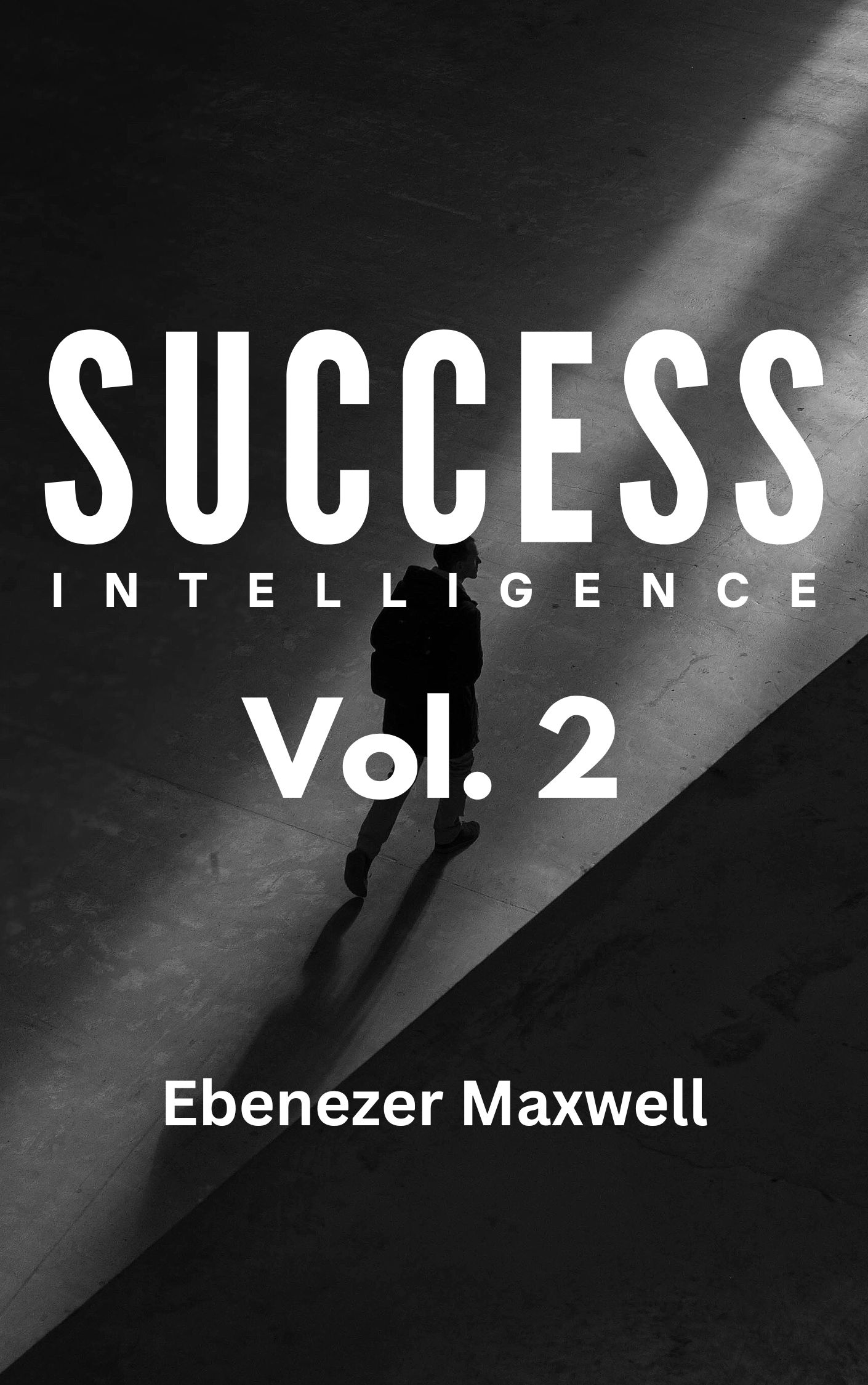 SUCCESS INTELLIGENCE - VOL.2